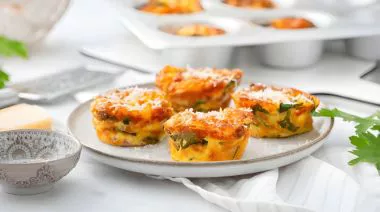 plating-instructions-image